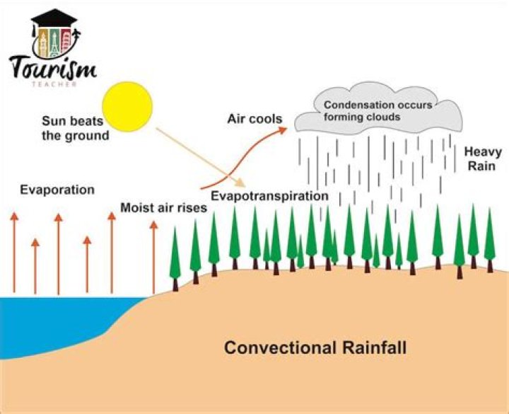 How is rain formed Voice of the rain?