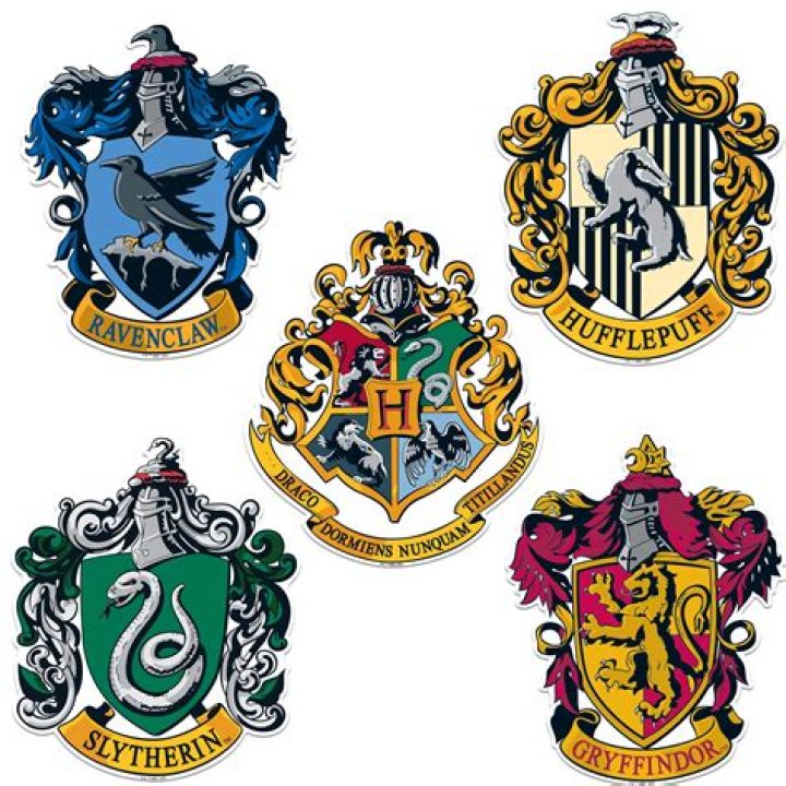 What's Harry Styles Hogwarts house?