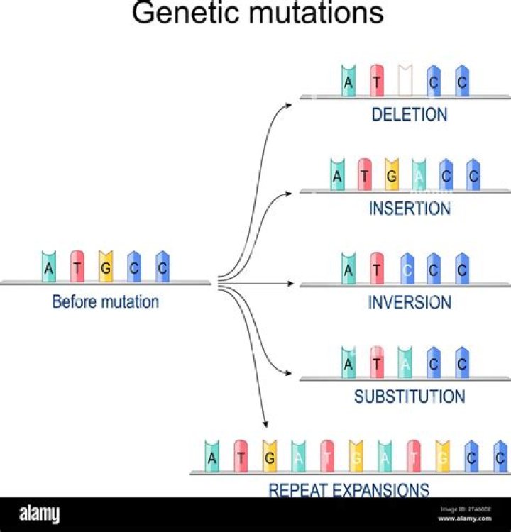 What is the difference between gene mutations and chromosomal mutations quizlet?