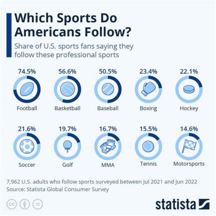 What is the most popular sport in USA 2022?