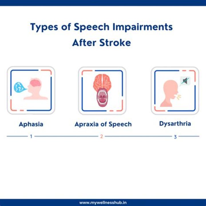 What type of stroke affects speech?