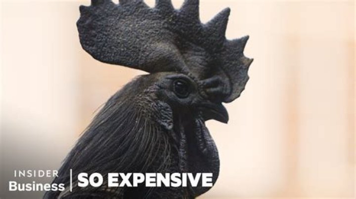 Why is chicken so expensive 2022?